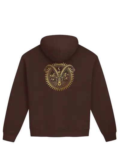 MEDALLION HOODIE product photograph