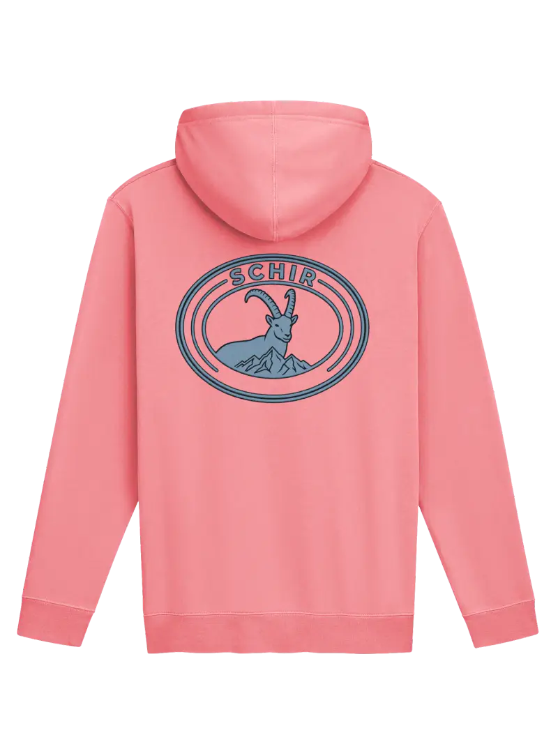 VIBES HOODIE product photograph 1