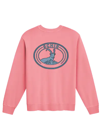 VIBES CREWNECK product photograph