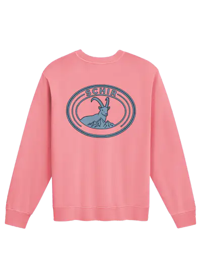 VIBES CREWNECK product photograph