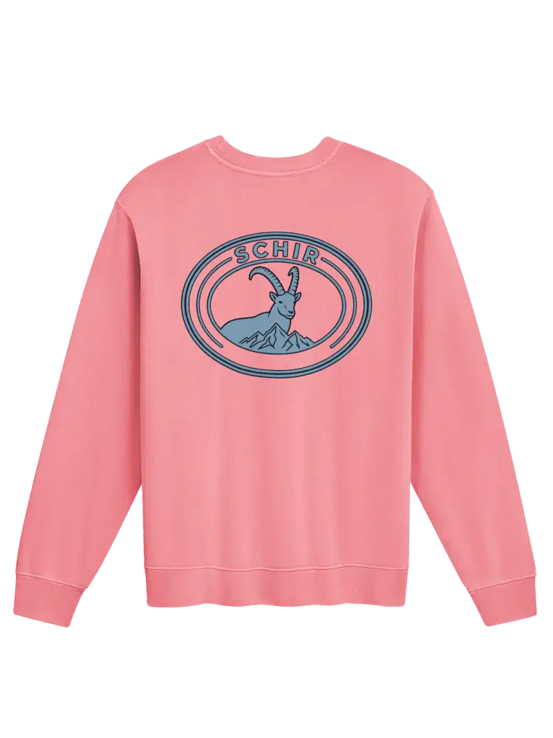 VIBES CREWNECK product photograph 1