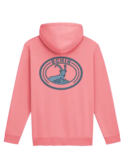 VIBES HOODIE product photograph