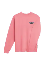 VIBES CREWNECK product photograph 4