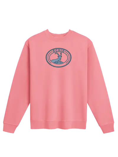 VIBES FRONT CREWNECK product photograph